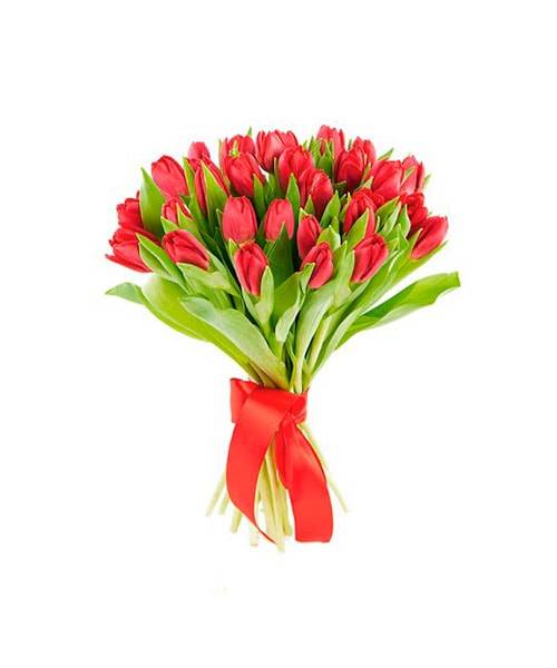 Букет красных тюльпанов Букет красных тюльпанов