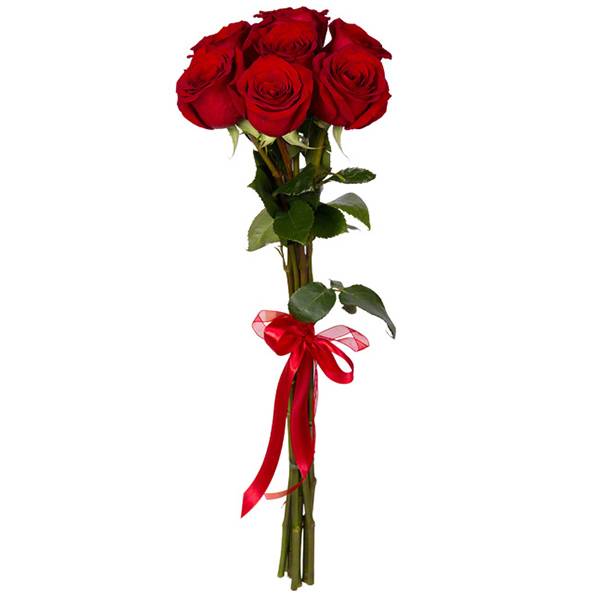 7 элитных красных роз 7 элитных красных роз